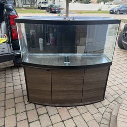 75 Gallon Bowfront Aquarium