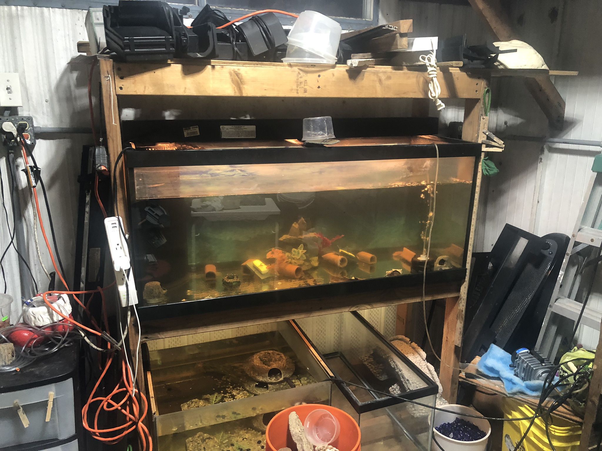 Complete Fishroom Everything You Could Possibly Need. 