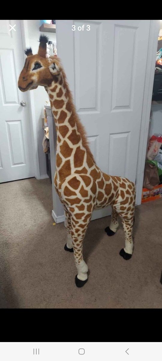 Giraffe