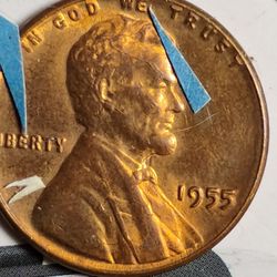 1955