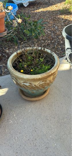 Glazed Ceramic Teal and Tan Planter with Saucer