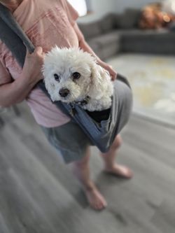 Pet Sling Bag 