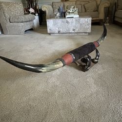 Longhorn Horn