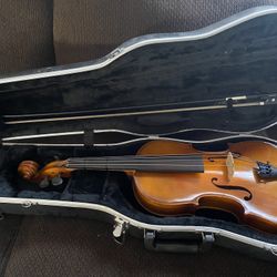 Viola