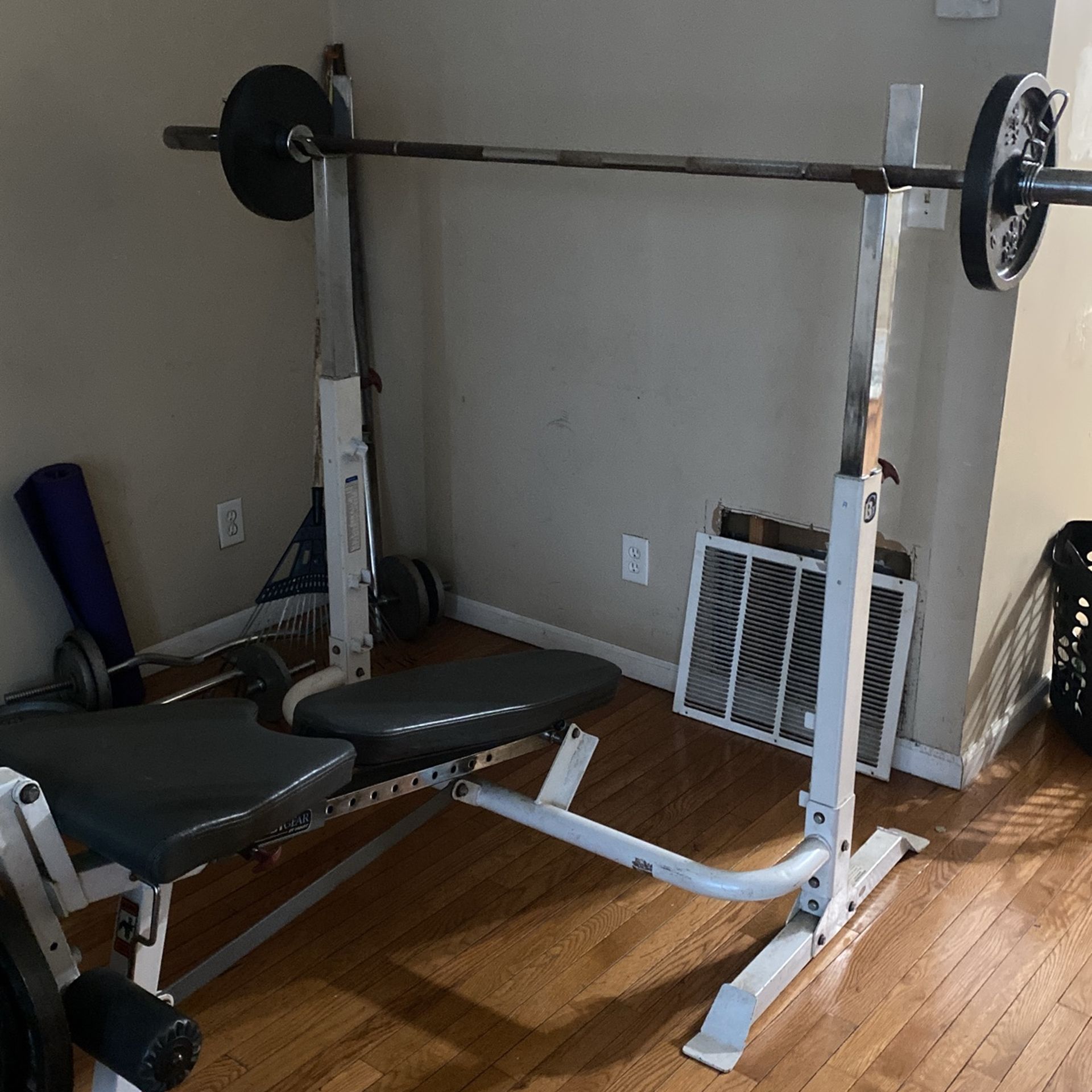 Workout Bench