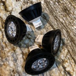 4 Vista Landscape Lighting Lamp LED