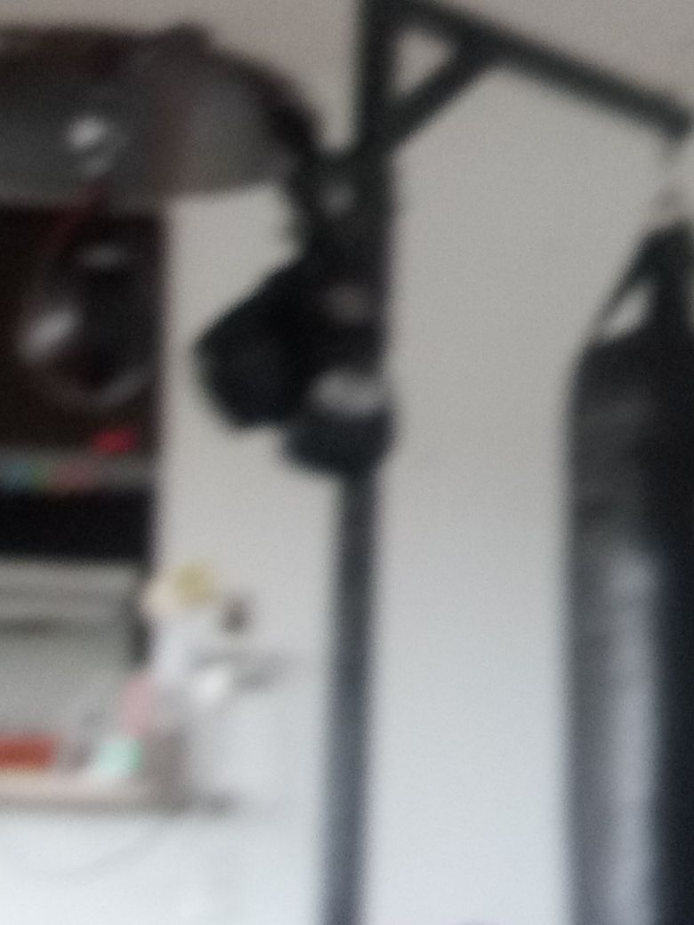 Procombat punching/speed bag