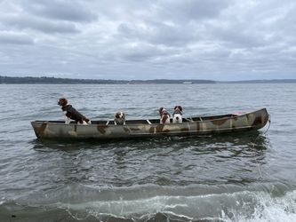 17 Grumman Canoe