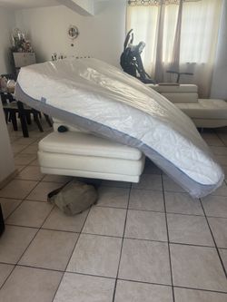 Neds beds