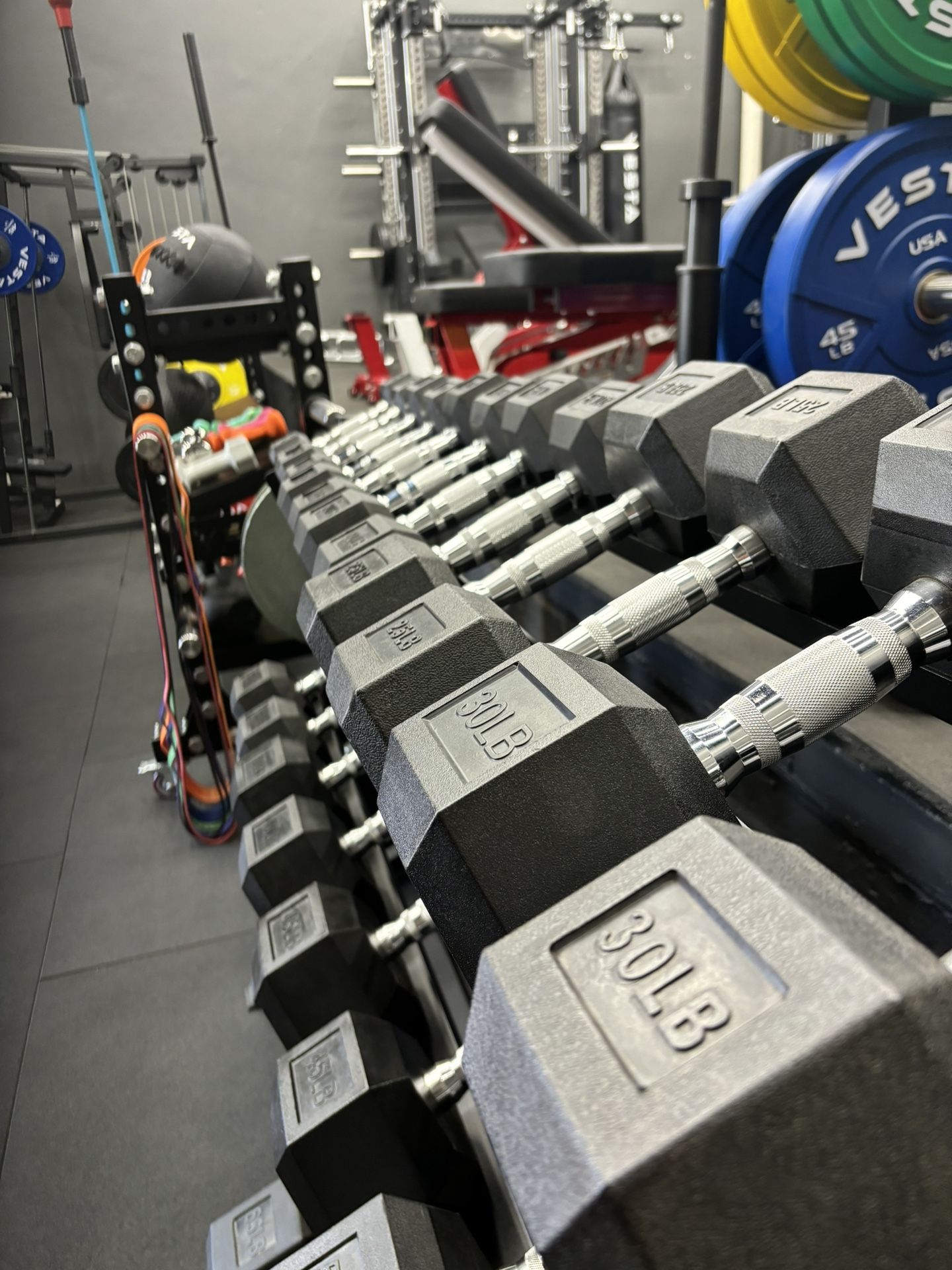 Vesta Fitness Dumbbells