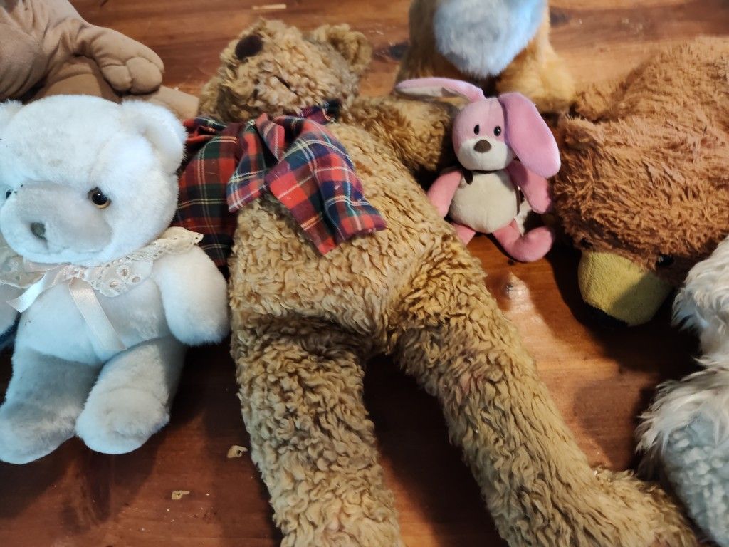 Stuffed Animal's Lot's Of 10 House Pickup $90.00