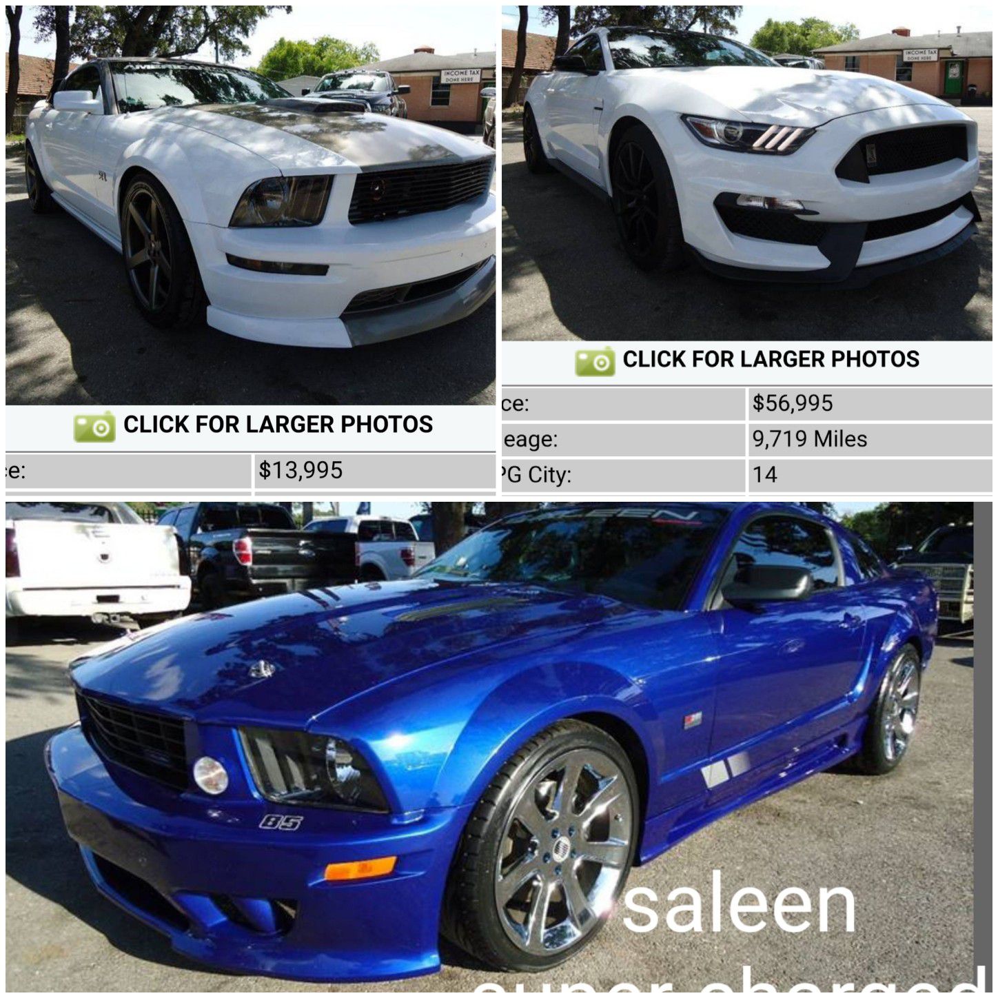 Ford mustang GT saleen shelby