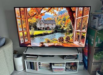 Sony 65” TV