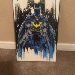 Picture Batman Multi Color