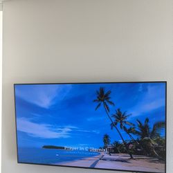 55 Inch Ultra Thin OLED TV 