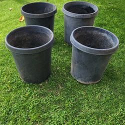Large Plant Pots $10.00 Each