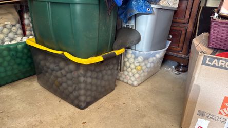1000 Golf Balls