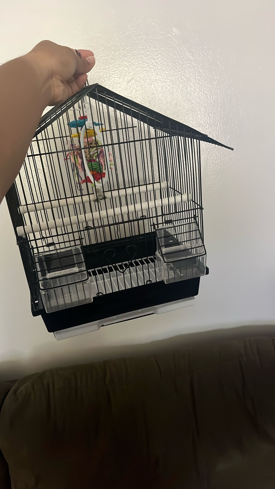 Bird Cage