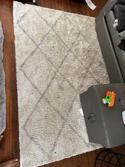 Large Plug Area Rug + Grey Runner