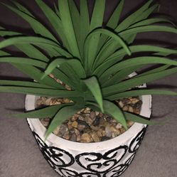 Fake Plant