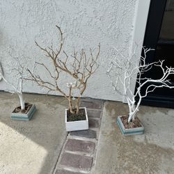 Table Decor