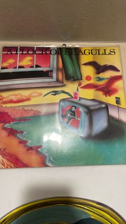 A flock of seagulls