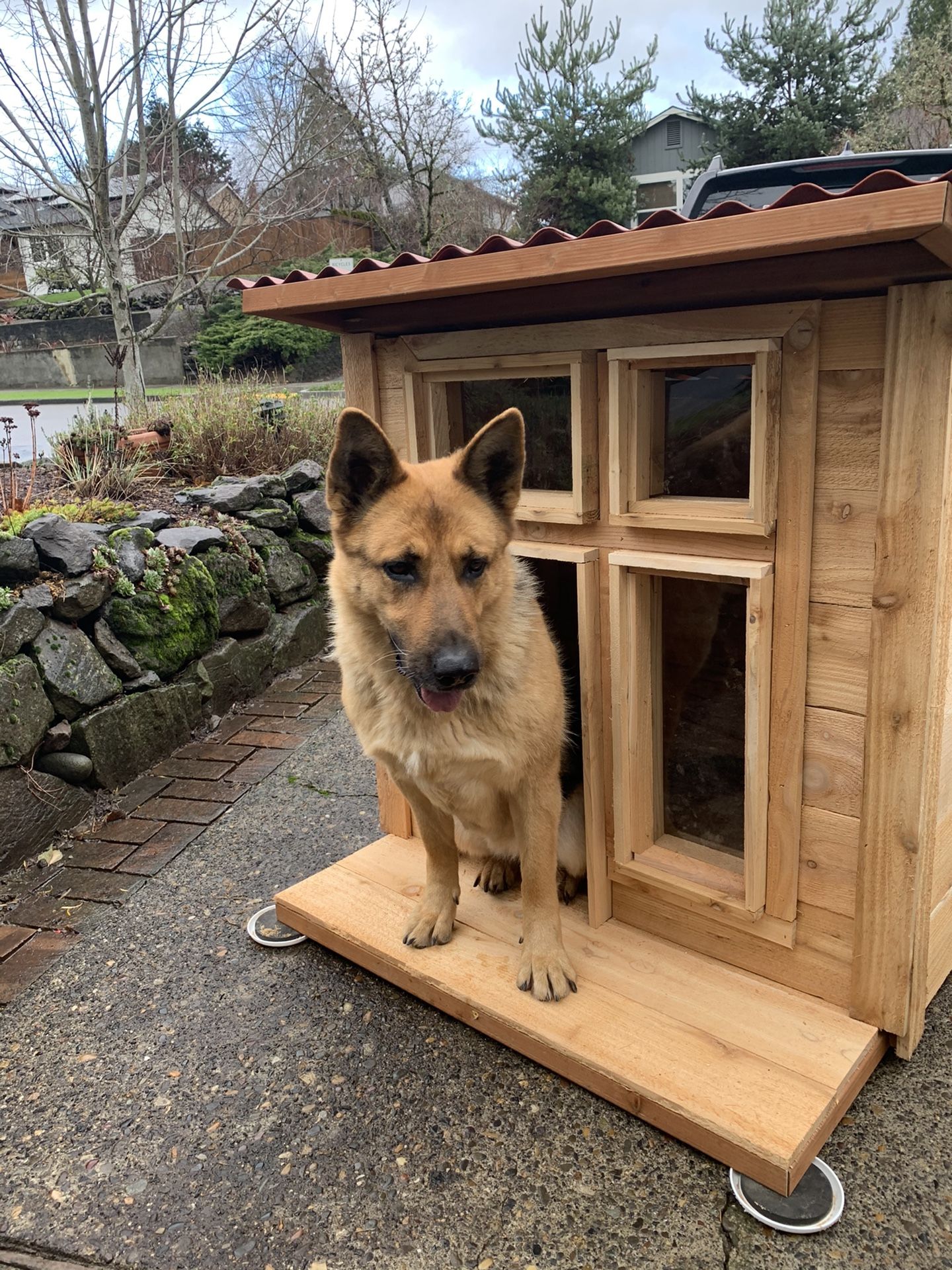 Cedar Dog Houses