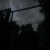 Bob 