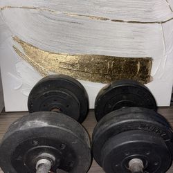 Dumbbells Weights Pair – Price Includes Both – Home Gym Fitness Strength Training