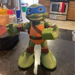 Ninja Turtle Fighting Toy