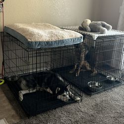 XL Dogs Cages 