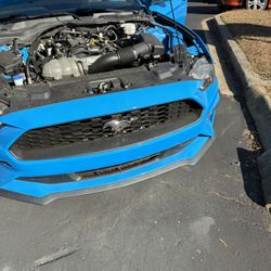 Blue Mustang 2022 Eco