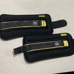 Hand / ankle weights