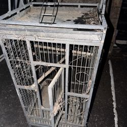 Bird Cage 