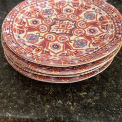 Medium Plates 9 Pieces  All For $40