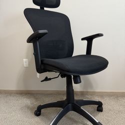 Office Chair - Brand New - Rarely Used - Move Out Sale
