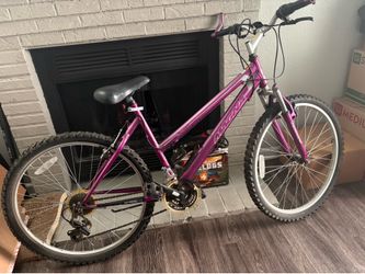 Purple Bicycle Adult Size