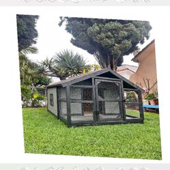 Weather-Safe Dog Houses in Any Size - Protection in Every Season where radio