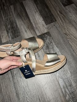 Sperry wedges
