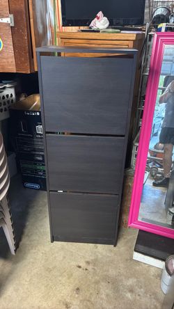 Black 3-Tier Shoe Cabinet with Flip Doors