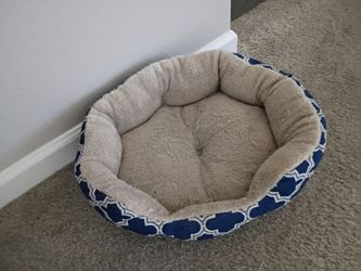 Cat bed, food and liter