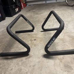 Rogue Parallette Set