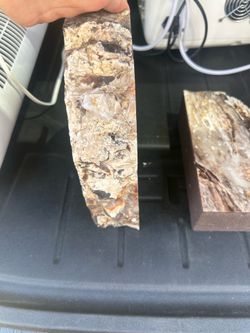 Rare Petrified Wood Bookends – Natural Stone Statement Piece