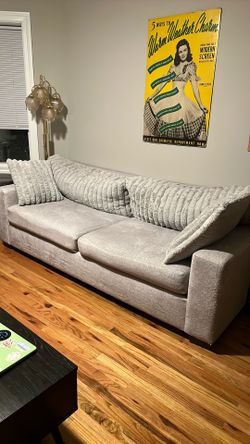Grey Plush Couch