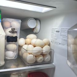 Fresh Eggs For Sale 