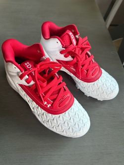 CLEETS
