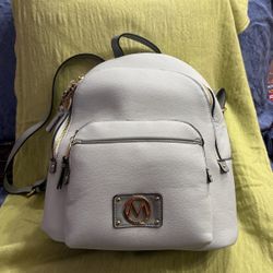 Back Pack Gray Color