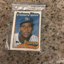 1989 TOPPS BASEBALL TIFFANY #343 GARY SHEFFIELD ROOKIE) GEM- MINT