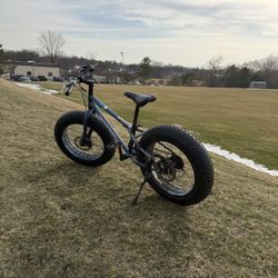 Fat Tire Bike