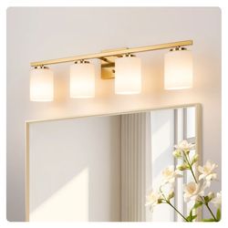 Auctions Ellysen Dimmable Vanity Light
